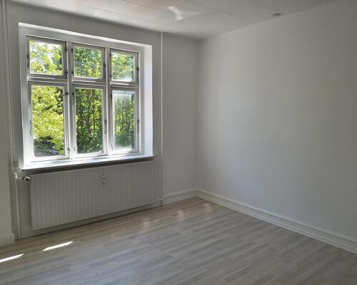 2V'er på Dyrehovedgårds Allé