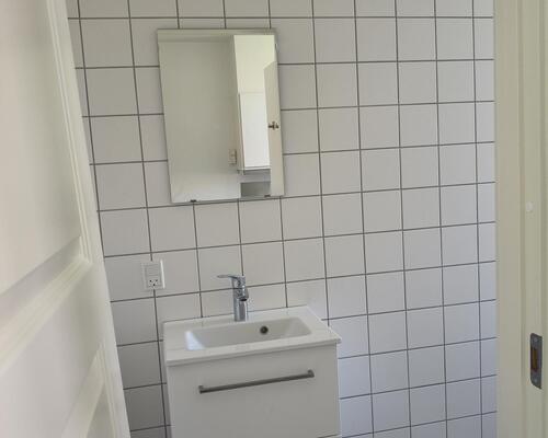 2V'er på Dyrehovedgårds Allé