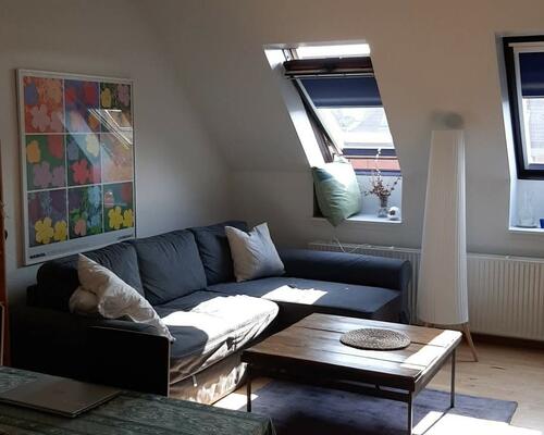 Cozy and bright 3 room furnished apartment with balcony