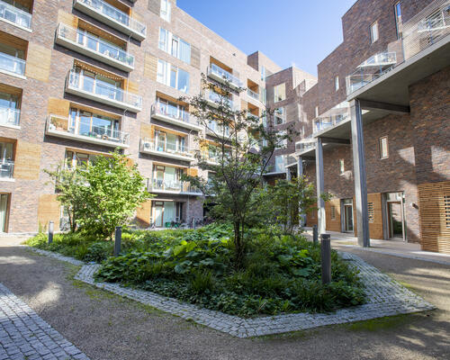 16 m2 værelse i København S