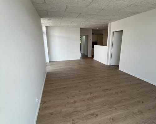 4 værelses hus i Viborg