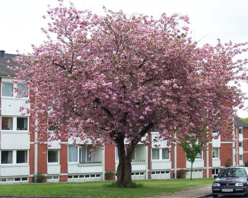 4 værelses lejlighed i Viborg
