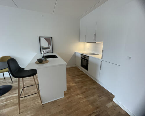 2-værelses i Viborg Centrum