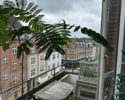 4-VÆRELSES MIDT PÅ TRØJBORG MED TO ALTANER