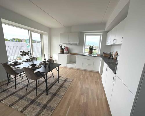 3 værelses lejlighed i Viborg