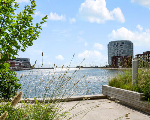 3 værelses lejlighed i Nordhavn