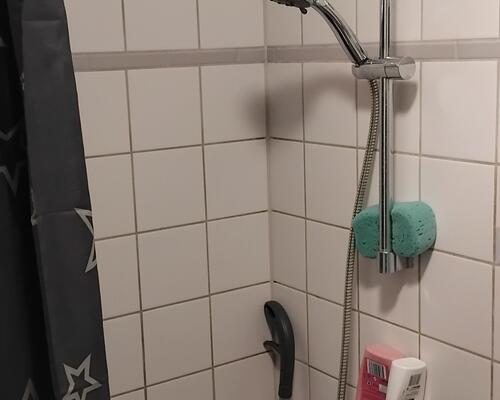2-værelses lejlighed i Øgadekvarteret