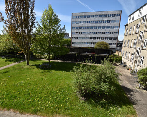 Lys lejlighed med moderne indretning i Aalborg