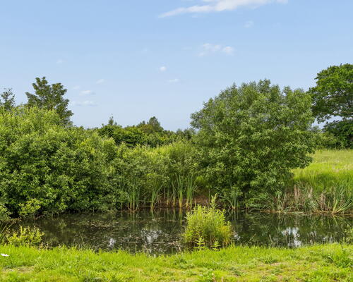 4 værelses hus i Fredericia
