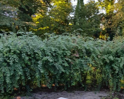 4 værelses hus i Silkeborg