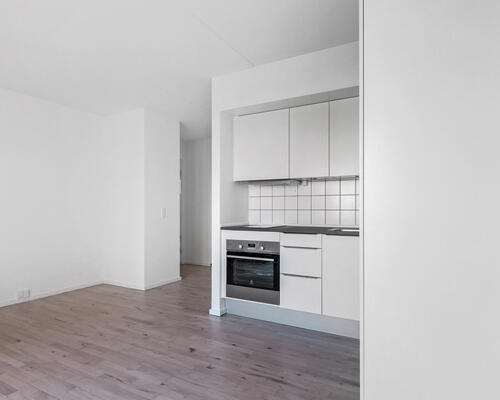 1 værelses lejlighed i København Ø