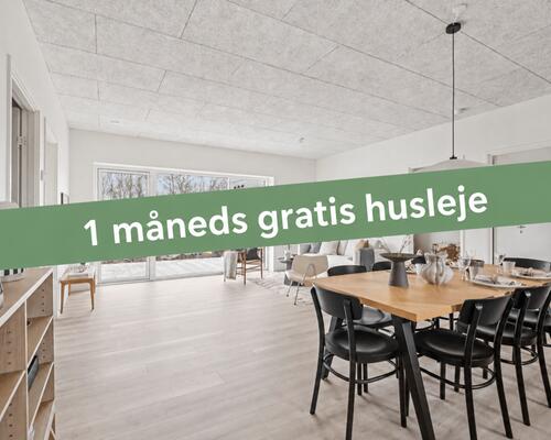 Rummeligt rækkehus med god planløsning -1 måneds gratis leje