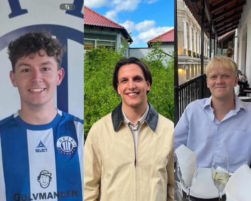 3 venner søger 4-værelses lejlighed i Århus