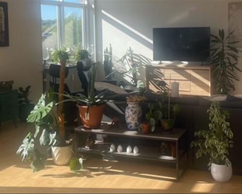 4 værelses lejlighed i Næstved
