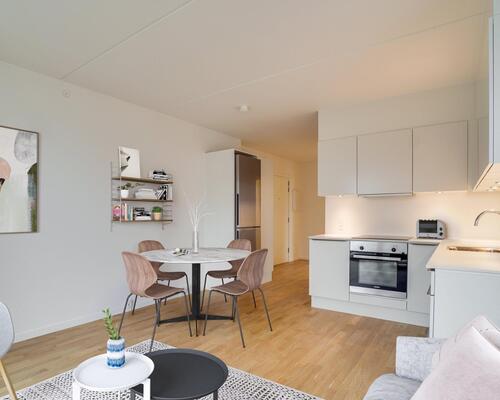 2 værelses lejlighed i København S
