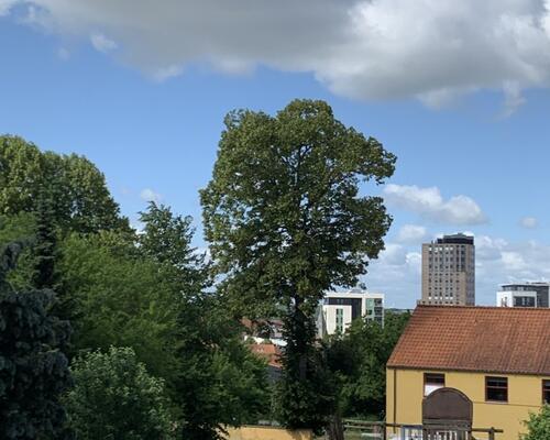 4 værelses lejlighed i Horsens