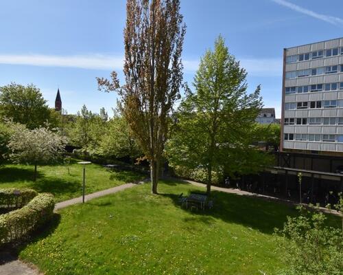 4 værelses lejlighed i Aalborg