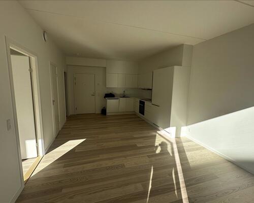 2 værelses lejlighed i København V