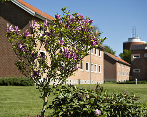 2 værelses lejlighed i Viborg