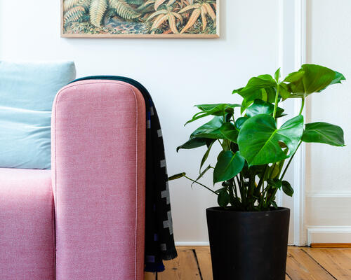 5 værelses lejlighed i Frederiksberg C