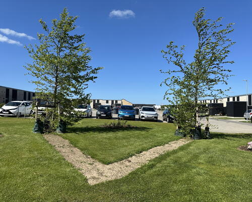 5 værelses hus i Randers NV