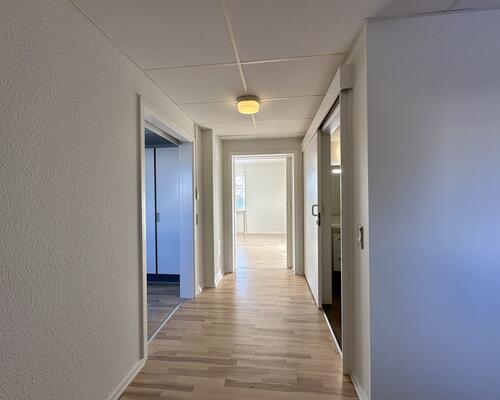Moderne 2-værelses lejlighed i Nørresundby med grønne omgivelser