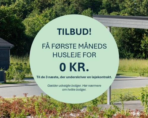 3 værelses hus i Give