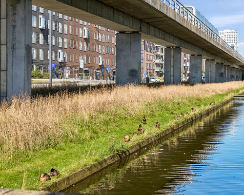 2 værelses lejlighed i København S