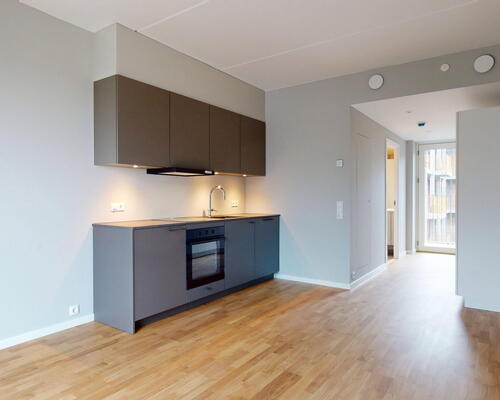Ro, natur og byliv i balance – moderne studio i Ørestad