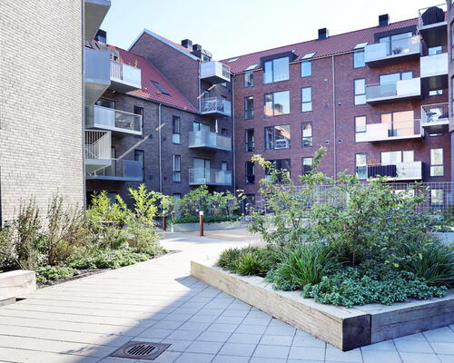 Slotsengen – et centralt åndehul tæt på by og natur