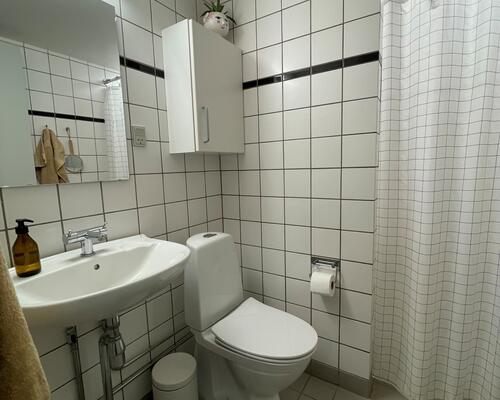 Hyggelig lejlighed i Tøndergade, Aarhus C.
