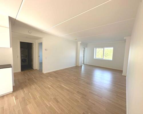 3 værelses lejlighed i Viborg