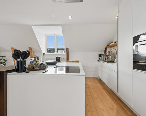 Eksklusiv møbleret penthouse med privat tagterrasse og panoramaudsigt over København til udlejning for 6-12 mdr.