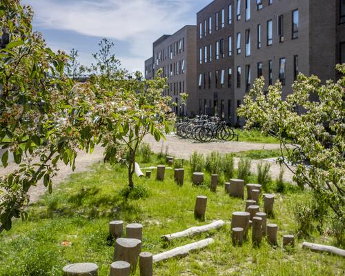 Stort køkken alrum og 2 gode værelser
