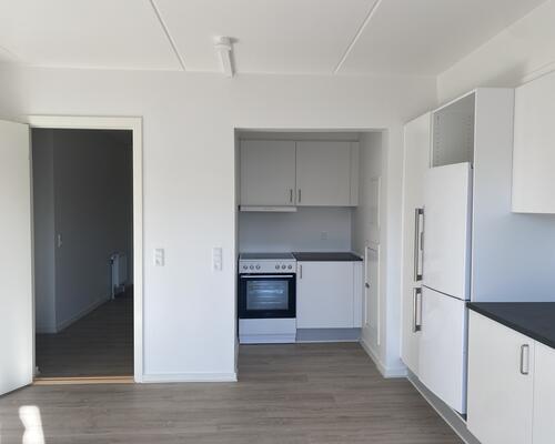 1 værelses lejlighed i Viborg