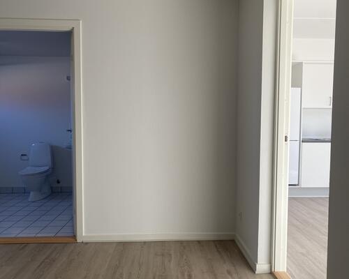 1 værelses lejlighed i Viborg