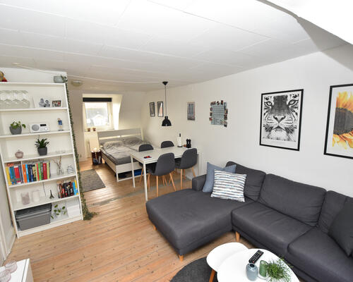 Lys lejlighed med central beliggenhed i Aalborg