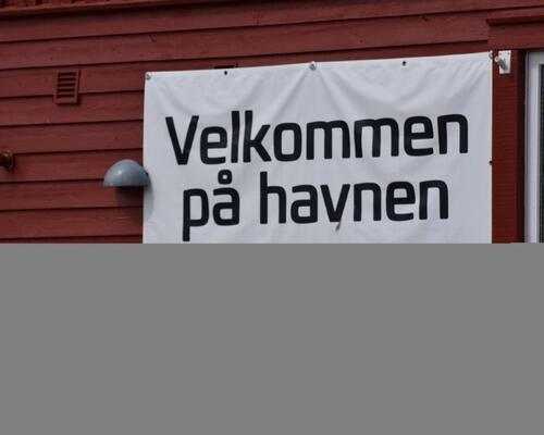4 værelses hus i Roslev