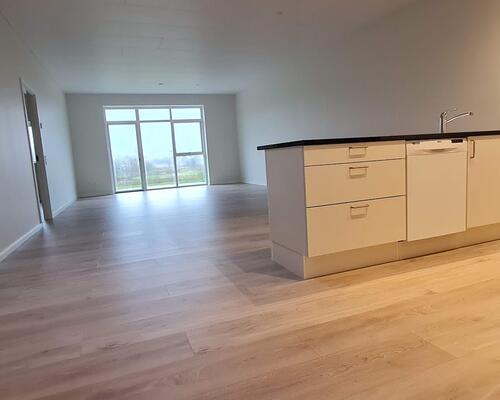 4 værelses hus i Herning