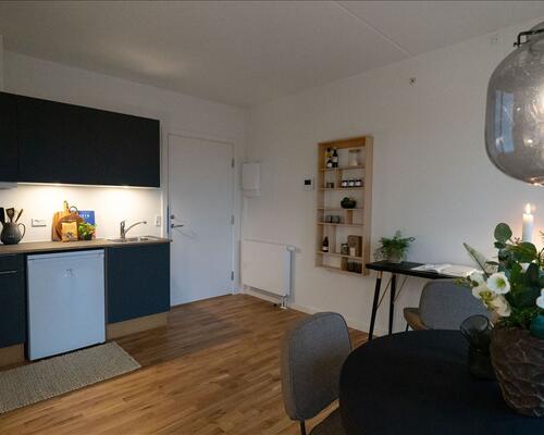1 værelses lejlighed i København S