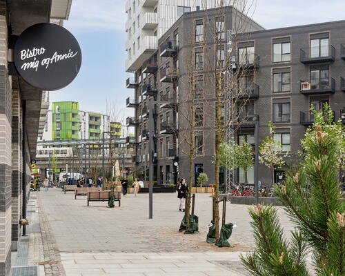 4 værelses lejlighed i København S