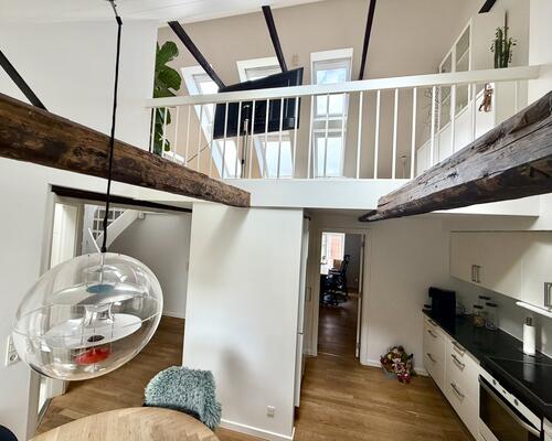 Lys lejlighed med tagterrasse i Aalborgs gågader