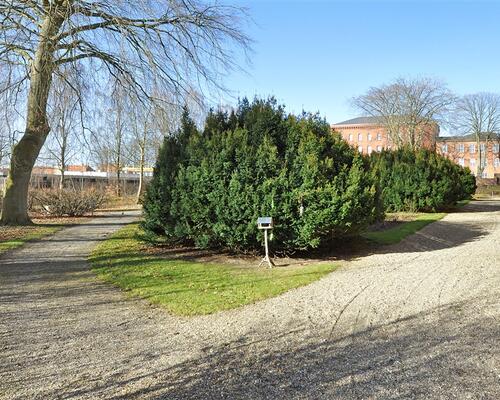 2 værelses lejlighed i Haderslev
