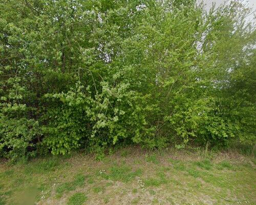 Lyst og rummeligt 4-værelses hus i Kolding