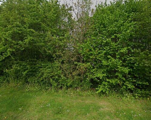 Skønt 4-værelses hus med husdyr tilladt i Kolding