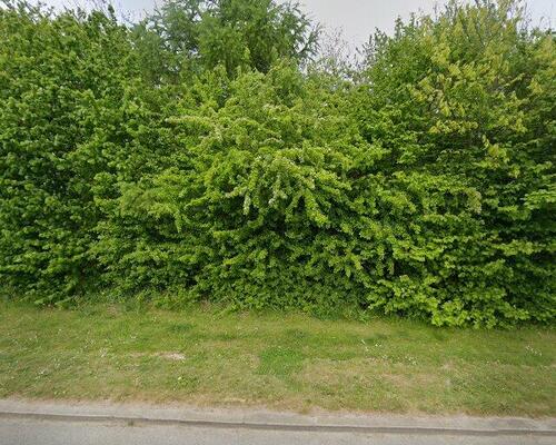 2-plans rækkehus med moderne Faciliteter og husdyr tilladt