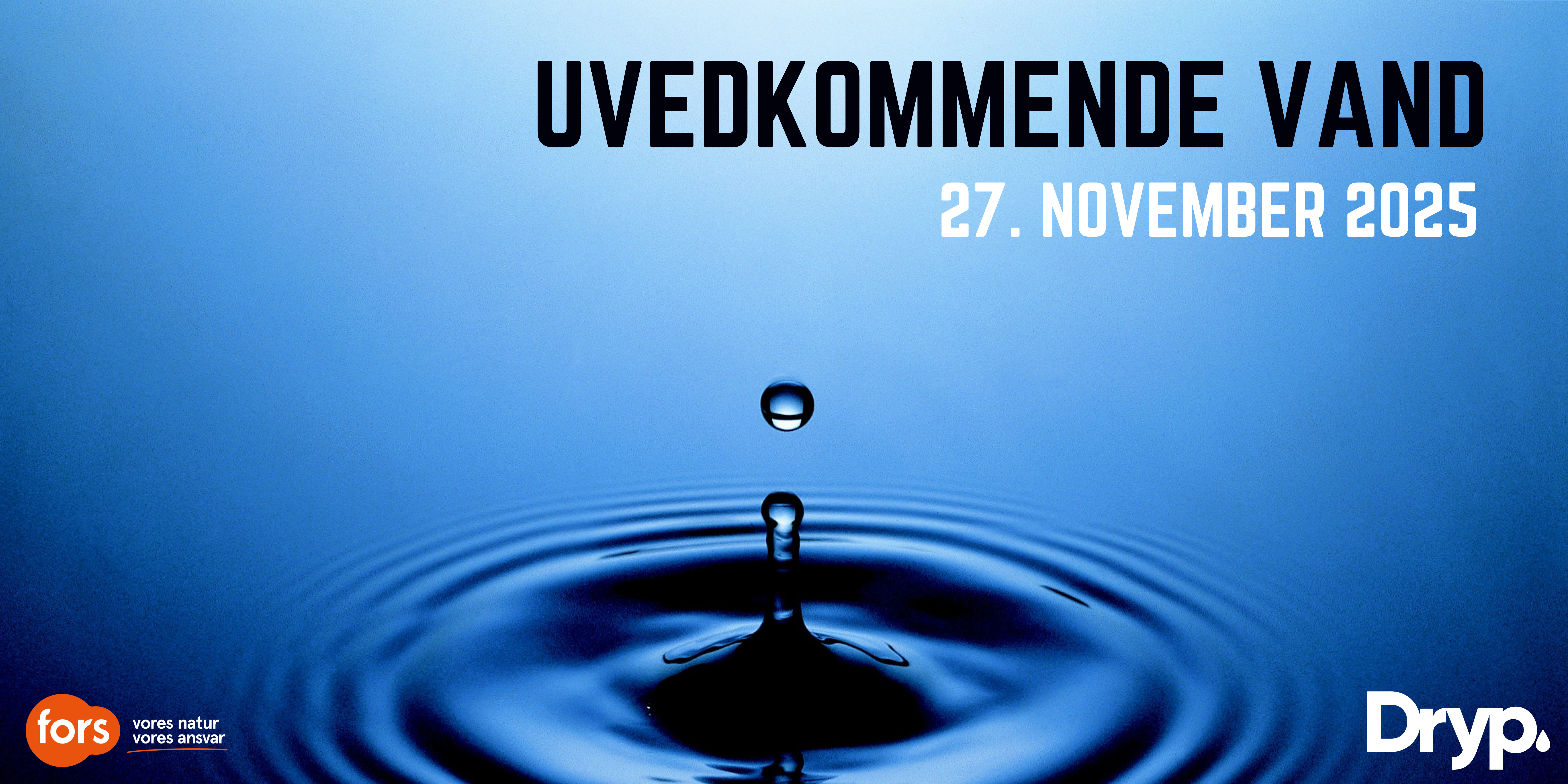 Fra erfaring til handling: Temadag om uvedkommende vand