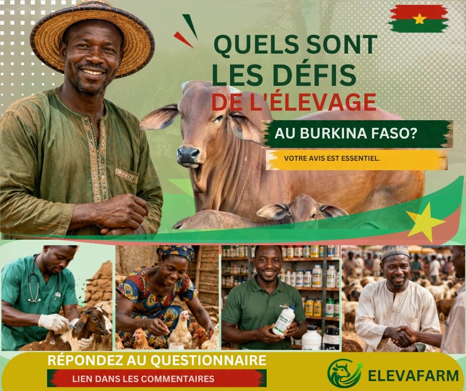Formulaire D'études Terrain