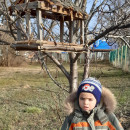 Синичкин день