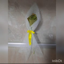Чудо Осень